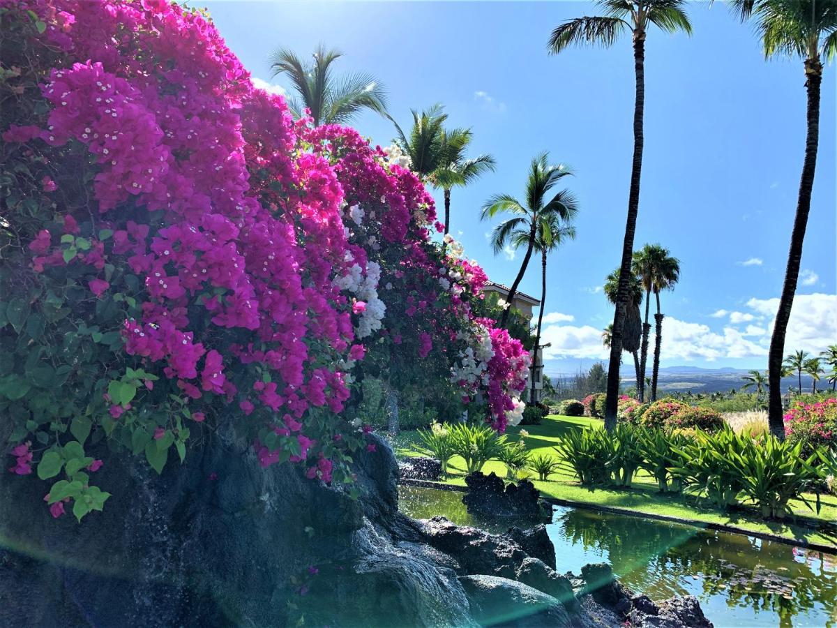 Coconut At Shores - Waikoloa Beach Resort Buitenkant foto